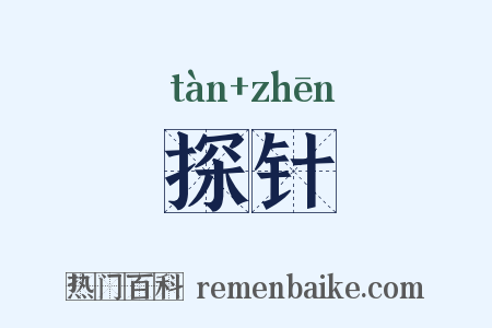 探针是什么意思的图片